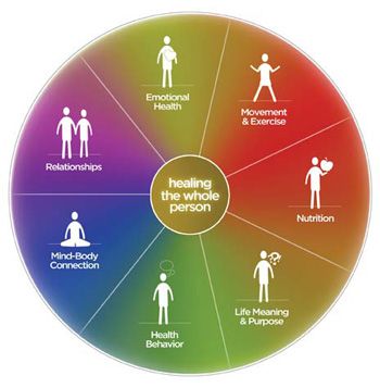 Wellness Wheel